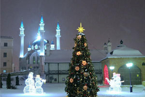 Новогодний тур в Казань
